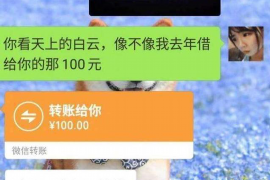 威县遇到恶意拖欠？专业追讨公司帮您解决烦恼